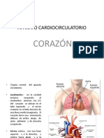 Aparato Cardiocirculatorio