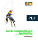 Parrots - Book 1 Talk and Tricks