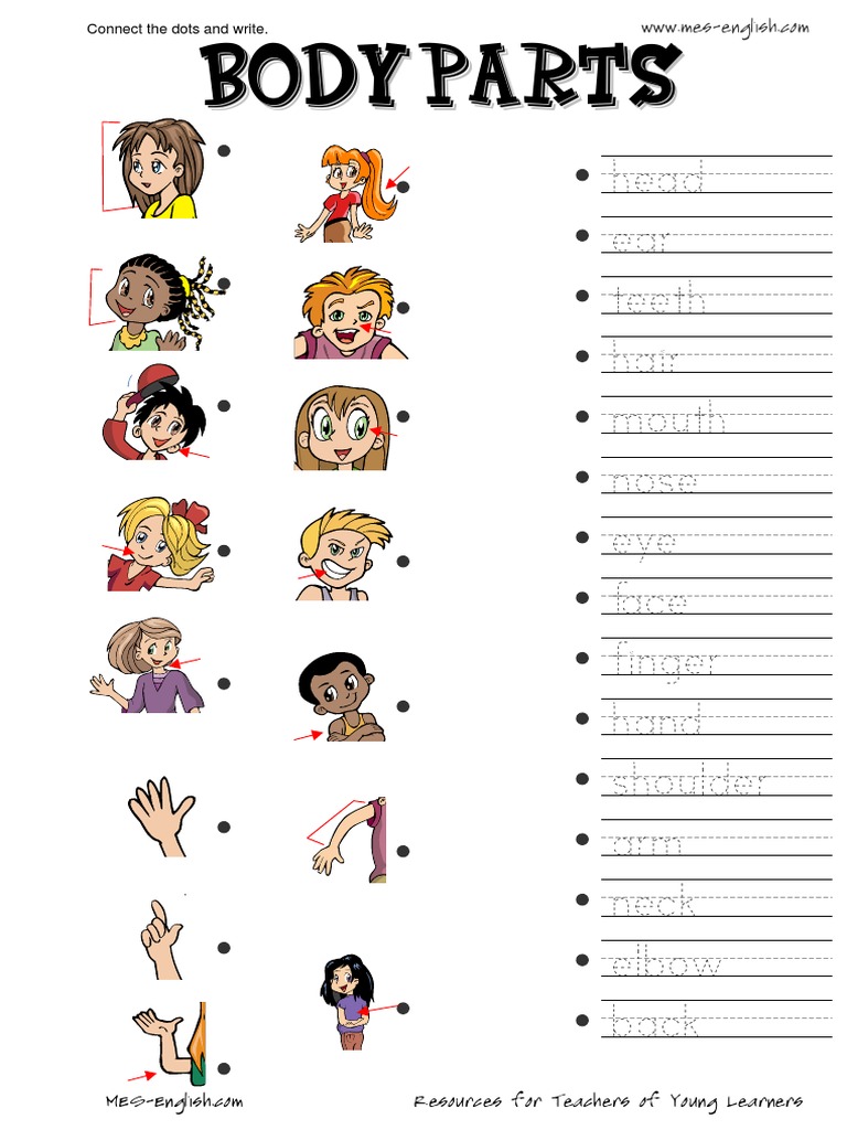 Body Parts Connect the Dots Activity | PDF