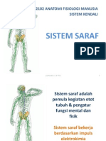 Sistem Saraf