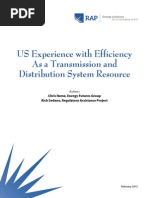 RAP Neme EfficiencyasaTandDresource 2012 Feb 14