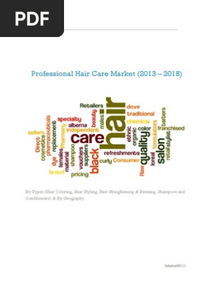 Professional Hair Care Market 2013 2018 By Types Hair