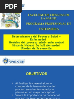 Determinantes Del Proceso Salud - Enfermedad