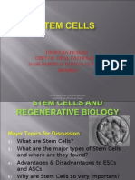 Stemcells Background - Celulas Madre, Antecedentes