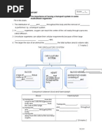 WORKSHEET 10.1 The Importance of Transport System