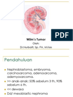 Wilm’s Tumour