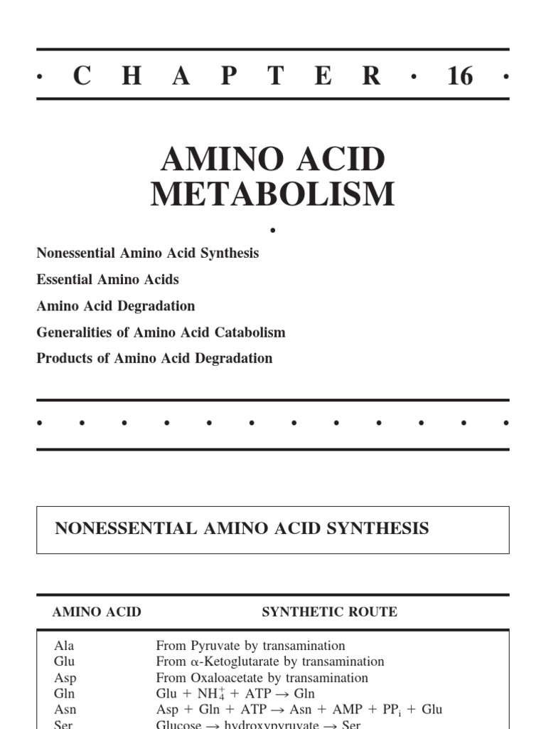 Amino Acid Metabolism PDF Amino Acid Metabolism