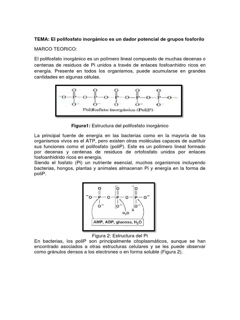 Grupos Fosforilo | PDF | Biología Celular) | Las bacterias