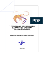 TECNOLOGIA DE CRIAÇÃO DO CAMARÃO DA MALÁSIA (Macrobrachium rosenbergii)