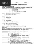 What's in A Cell - Worksheet & Coloring