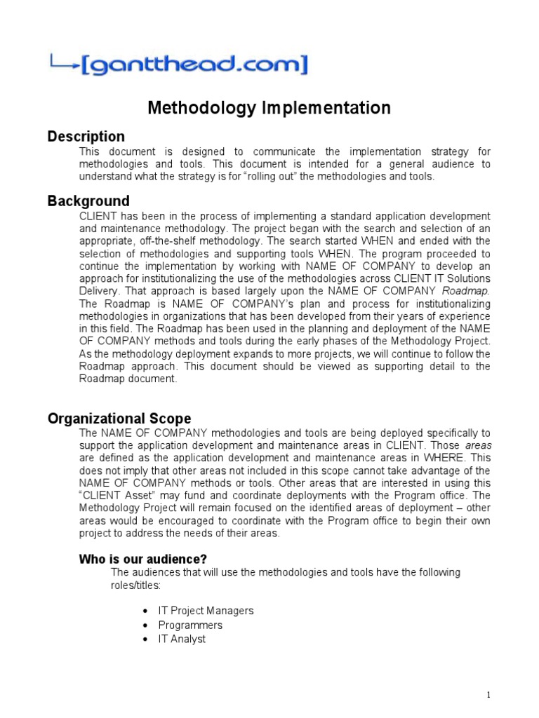 Methodology Implementation Strategy Guide | PDF | Implementation ...