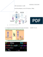 Genetics - MM