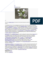 Molecular Genetics of Model Plants