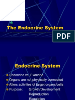 The Endocrine System