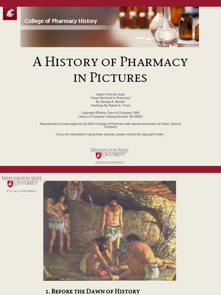 history of pharmacy assignment