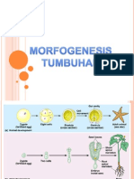 MORFOGENESIS TUMBUHAN 2013(1).pptx