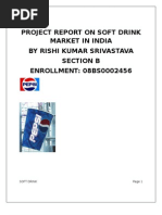 Project Report On Soft Drinks Market in India