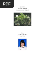 Download KEMUNING by Nadia Rizanedewi SN194954991 doc pdf