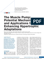 The Muscle Pump Potential Mechanisms