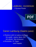 Cairan Lambung-duodenum (1)