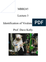 MBB245 Identification of Virulence Factors Prof. Dave Kelly