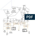 Book1 Pathway