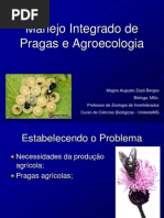 Controle de Pragas Em Slides