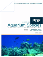 Aquarium Fish Species