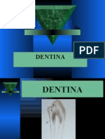 Histologia Da Dentina
