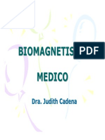 Biomagnetismo Medico