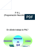 pnl2.ppt