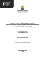 Investigación del Fenómeno del Graffiti