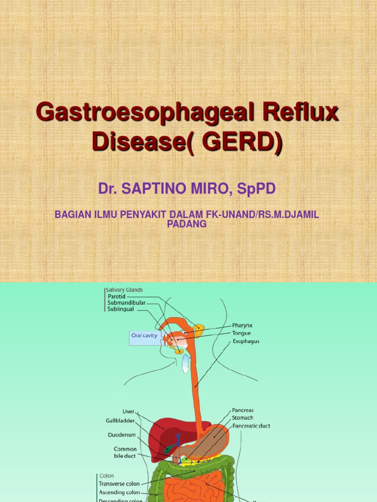 Gerd | PDF | Gastroesophageal Reflux Disease | Esophagus