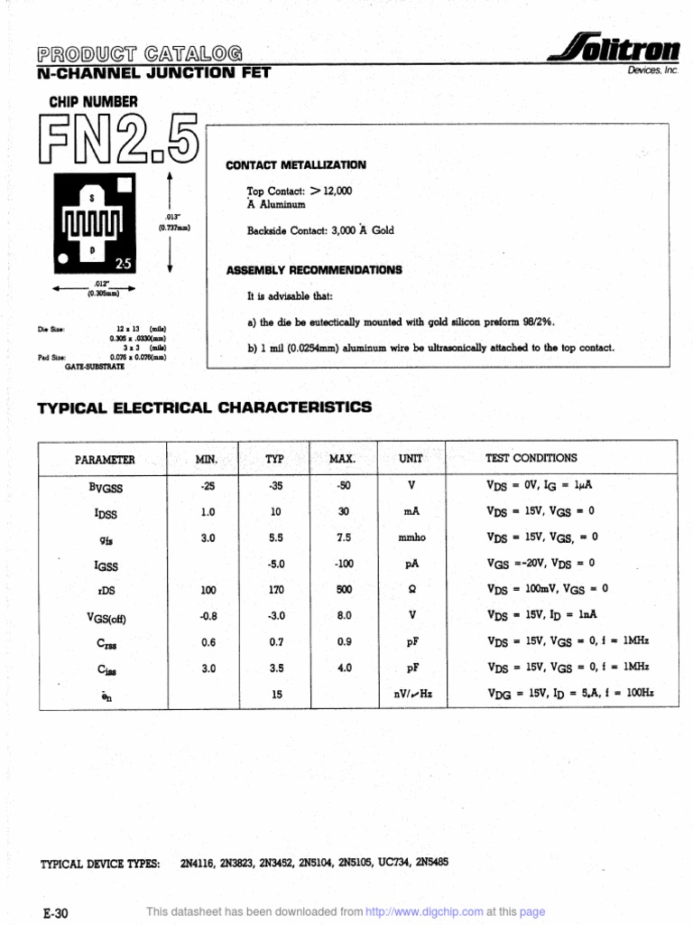 DigChip Datasheet Download Info | PDF
