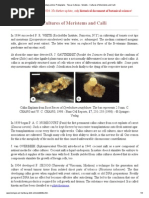Aeroponic Cultivation of Ginger | PDF | Hydroponics | Plants