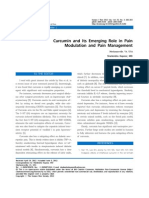 Curcumin and Its Emerging Role in Pain Modulation and Pain Management