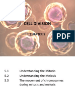 Cell Division