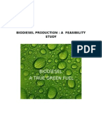 Biodiesel Feasibility Study by RicCapistrano