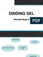 Dinding Sel