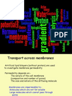 1 1 10 membrane transport1
