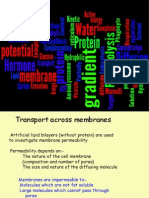 1 1 10 Membrane Transport1