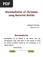 Download Bioremediation of Chromium using Bacterial Biofilms by clrichem SN19526191 doc pdf