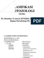 B. Klasifi Protozoologi (2)