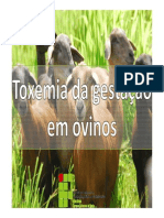 Toxemia Da Gestação em Ovinos - Grupo 3