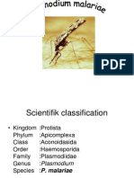 F. Plasmodium Malariae
