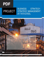 Download Company Analysis of Tata Steel Bs Assignment by bedipankaj7181 SN19536372 doc pdf