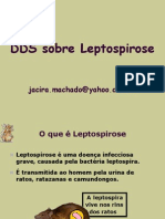 Como prevenir a Leptospirose: cuidados básicos