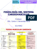 Fis. Cardiovascular 2