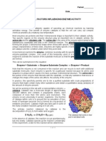 Enzyme Lab  