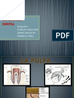 Bioquimica Dental